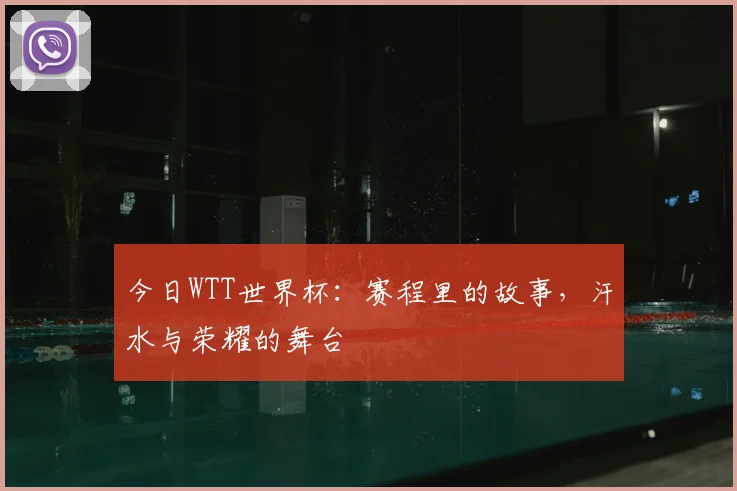 今日WTT世界杯：赛程里的故事，汗水与荣耀的舞台