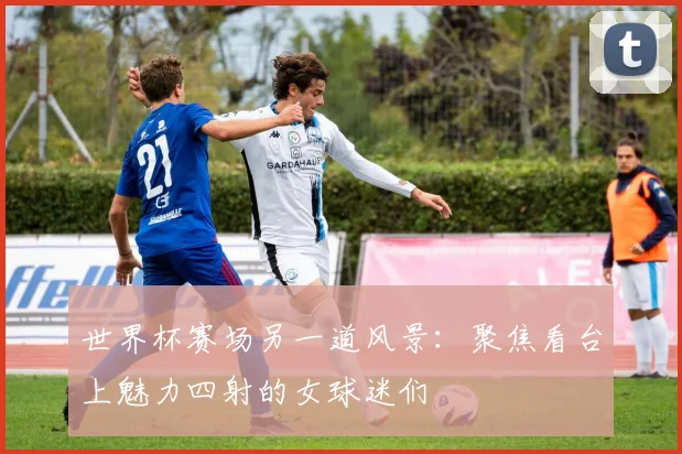 世界杯赛场另一道风景：聚焦看台上魅力四射的女球迷们