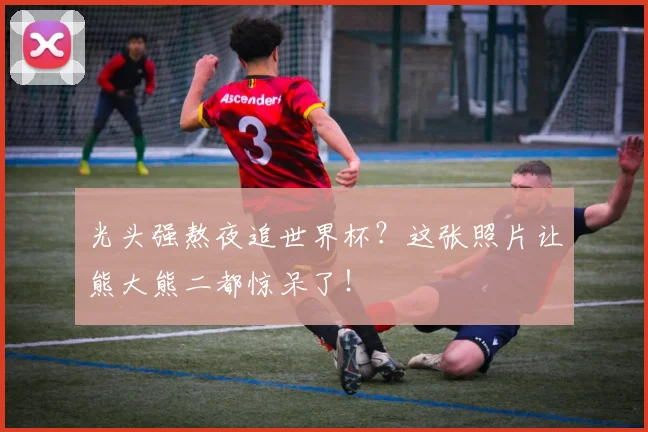 光头强熬夜追世界杯？这张照片让熊大熊二都惊呆了！