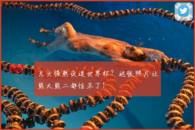 光头强熬夜追世界杯？这张照片让熊大熊二都惊呆了！