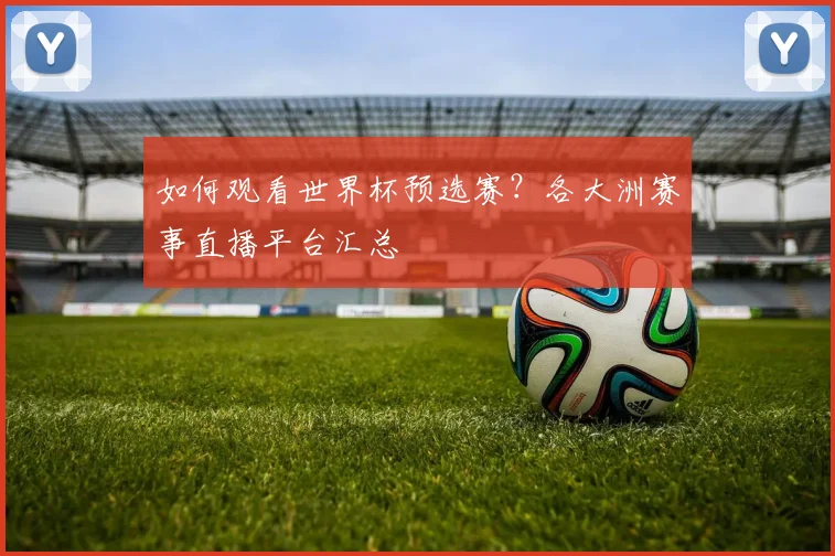 如何观看世界杯预选赛？各大洲赛事直播平台汇总