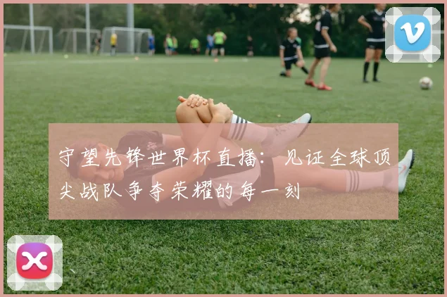 守望先锋世界杯直播：见证全球顶尖战队争夺荣耀的每一刻