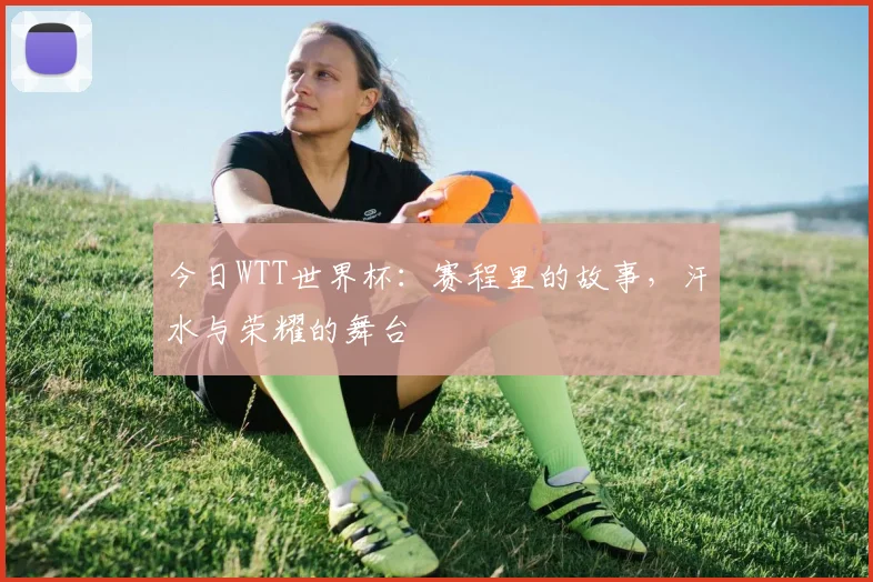 今日WTT世界杯：赛程里的故事，汗水与荣耀的舞台